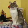 Отзыв от Диана Русакова